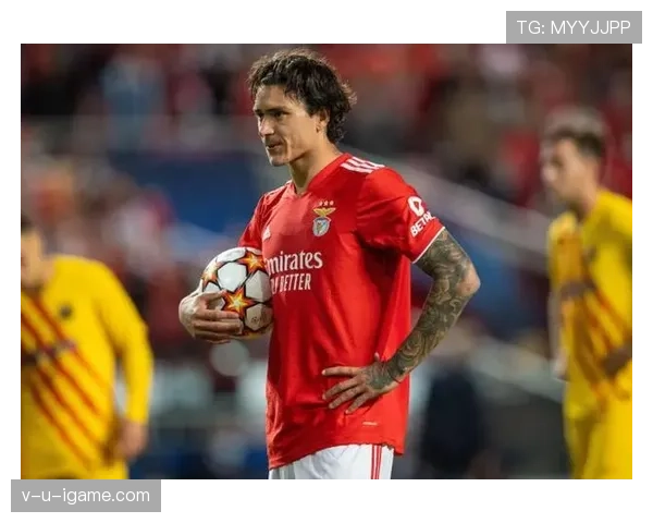 努涅斯本菲卡时期荣誉解析:成名基础是否已奠定 努涅斯本菲卡时期荣誉解析:成名基础是否已奠定